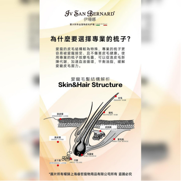 為什麼要選擇專業的梳子?